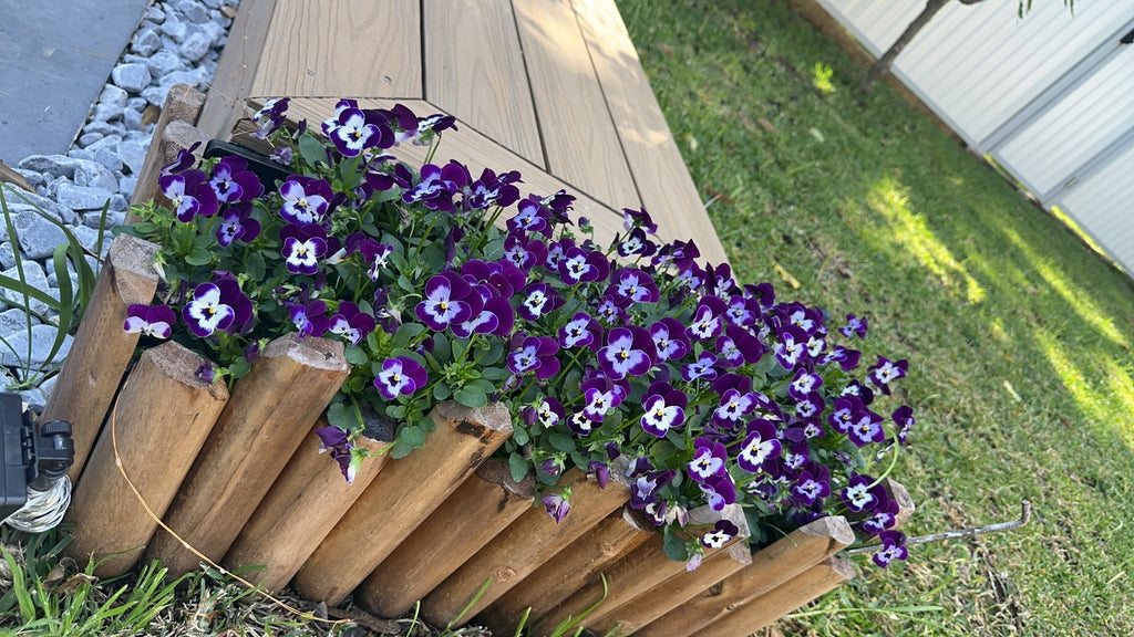 Garden Fence: Carbon-1200